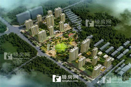 城东缇香郡精装2室小高层中间楼层新证